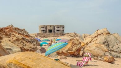 call abandonment rate insights