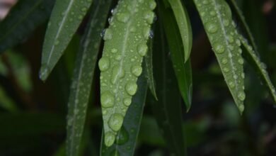 call drop probability analysis