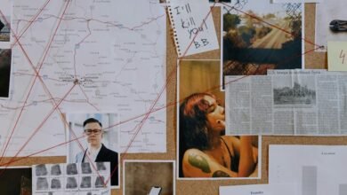 caller risk investigation council