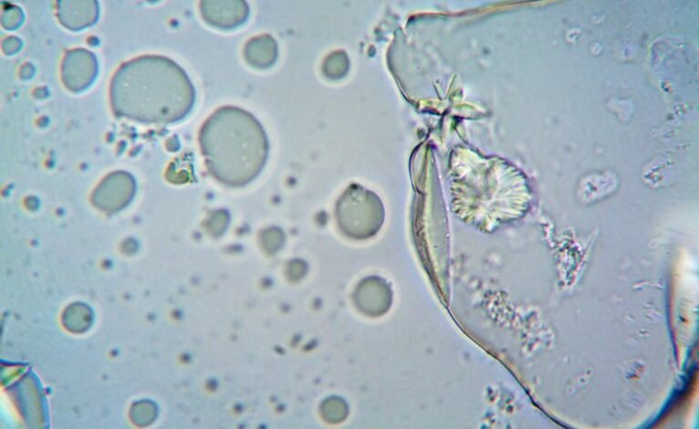 caller security risk investigation