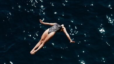 fraud activity oversight committee