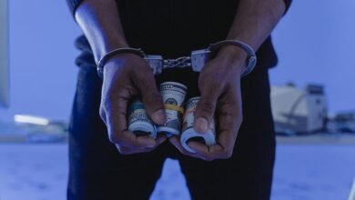 fraud risk enforcement division