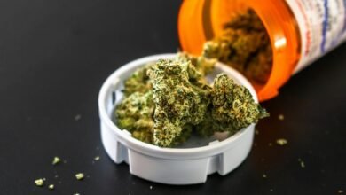 telecom fraud detection committee