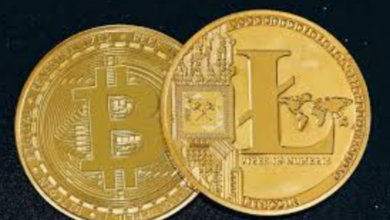 How Crypto Fundraising Works